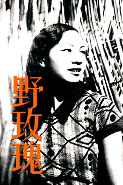 Póster de Wild Rose