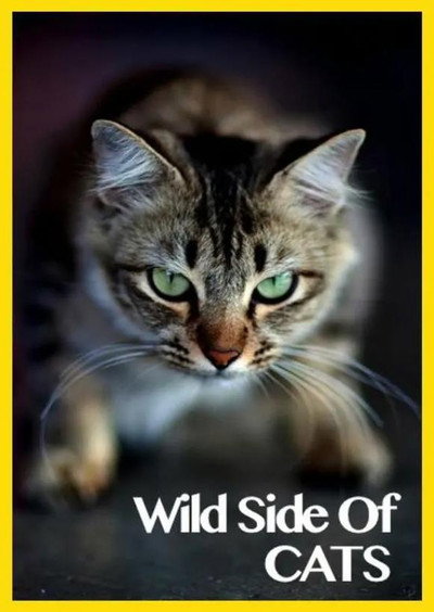 Póster de Wild Side of Cats