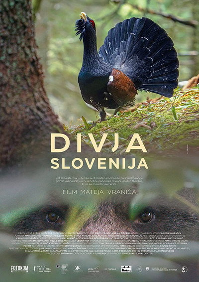 Póster de Wild Slovenia