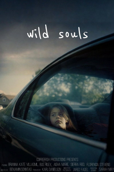 Póster de Wild Souls