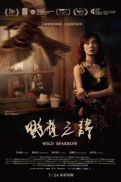Póster de Wild Sparrow