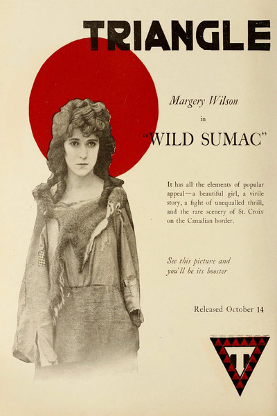 Póster de Wild Sumac
