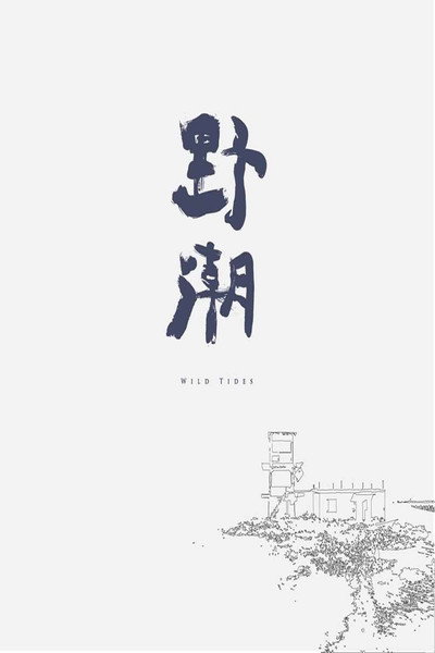 Póster de Wild Tides