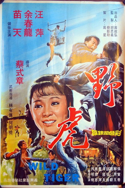 Póster de Wild Tiger