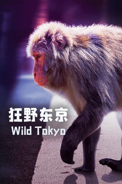 Póster de Wild Tokyo