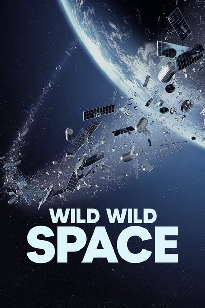 Póster de Wild Wild Space