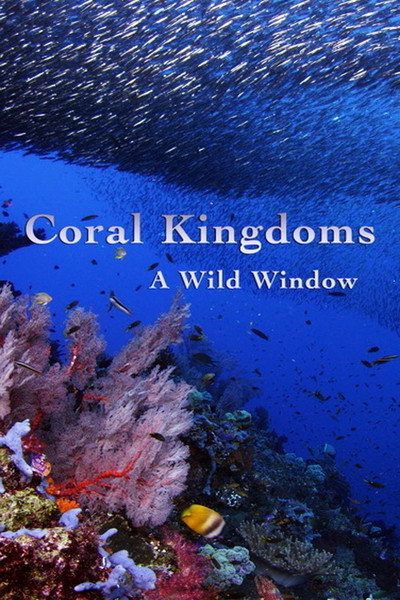 Póster de Wild Window: Coral Kingdoms