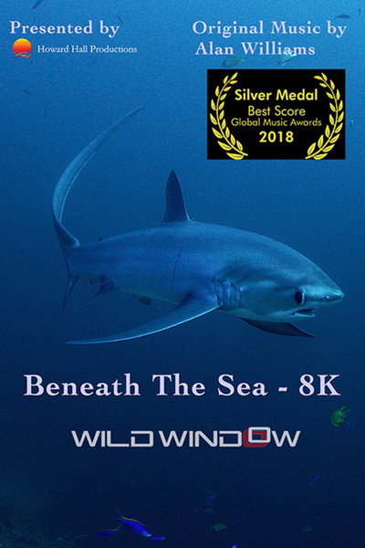 Póster de Wild Window: debajo del mar
