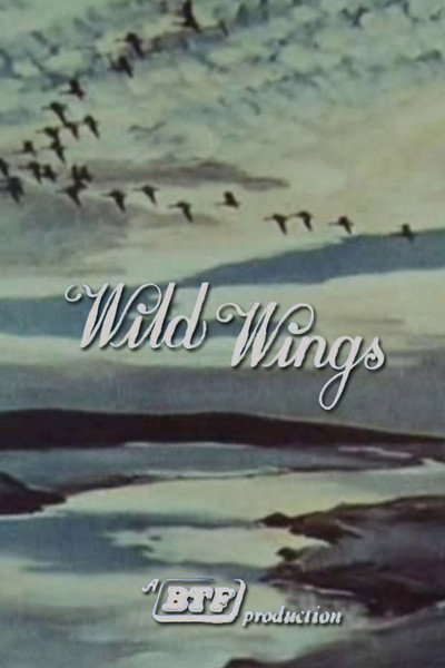 Póster de Wild Wings