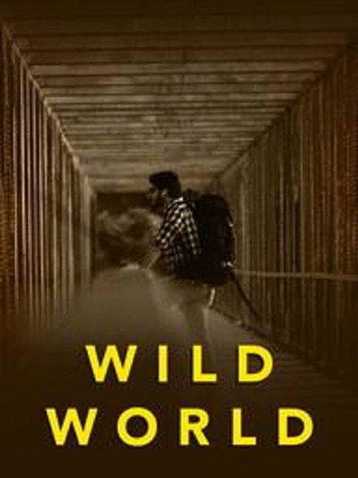 Póster de Wild World