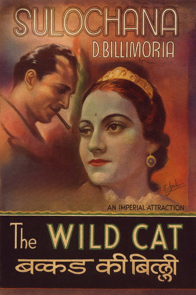 Póster de Wildcat of Bombay