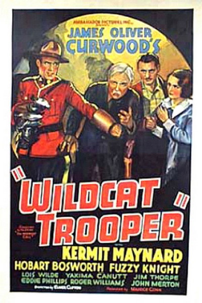Póster de Wildcat Trooper