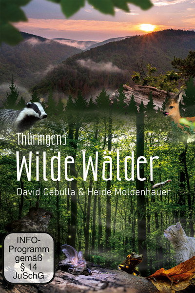 Póster de Wilde Wälder
