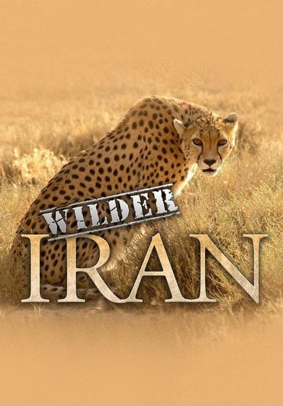 Póster de Wilder Iran