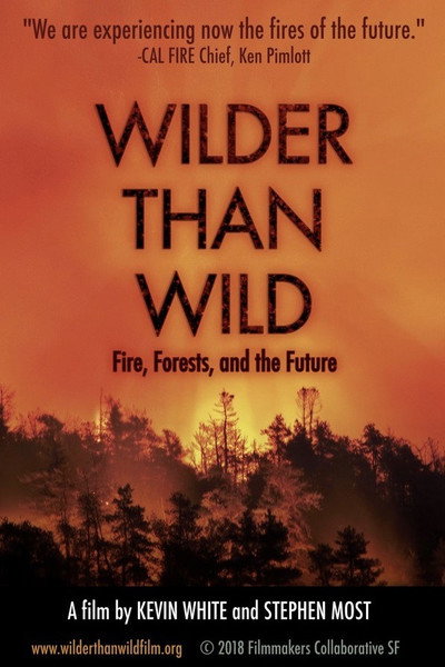 Póster de Wilder than Wild: Fire, Forests, and the Future