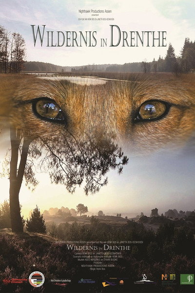 Póster de Wildernis in Drenthe