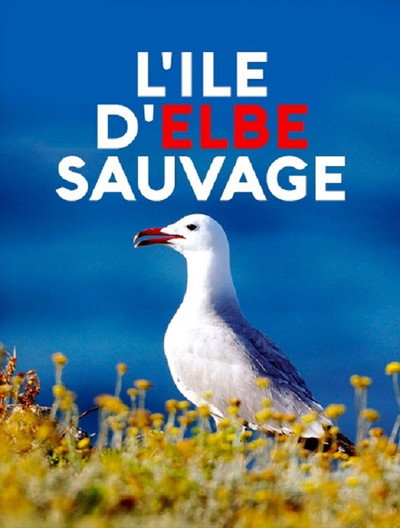 Póster de Wildes Elba