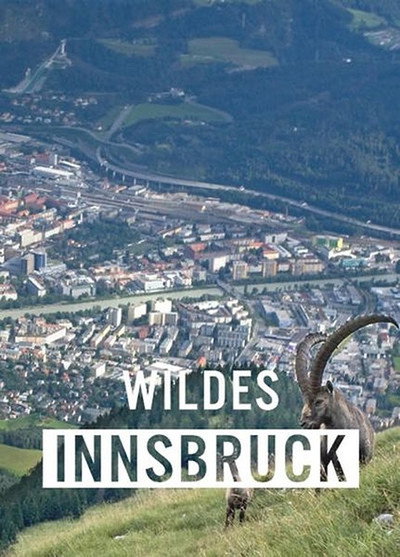 Póster de Wildes Innsbruck: Zwischen Moderne und alpiner Wildnis