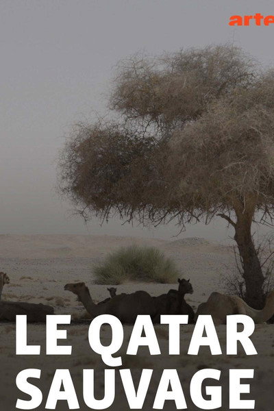 Póster de Wildes Katar