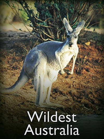 Póster de Wildest Australia