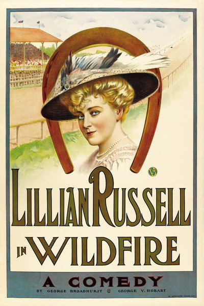 Póster de Wildfire