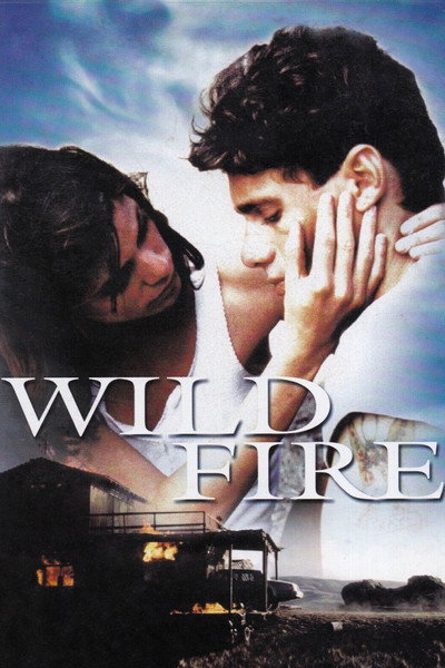 Póster de Wildfire