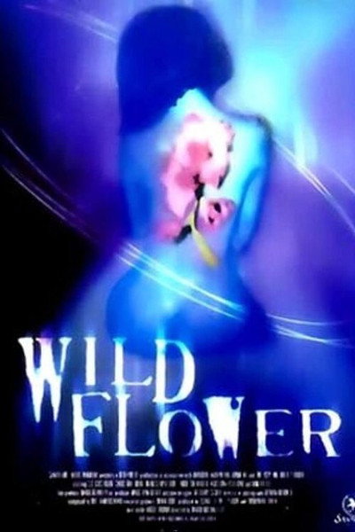 Póster de Wildflower