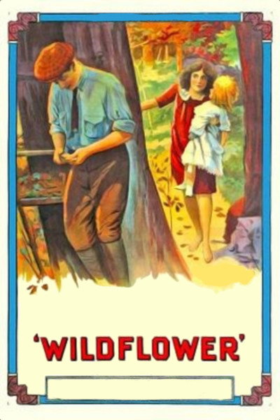 Póster de Wildflower