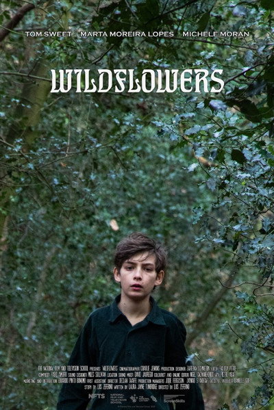 Póster de Wildflowers