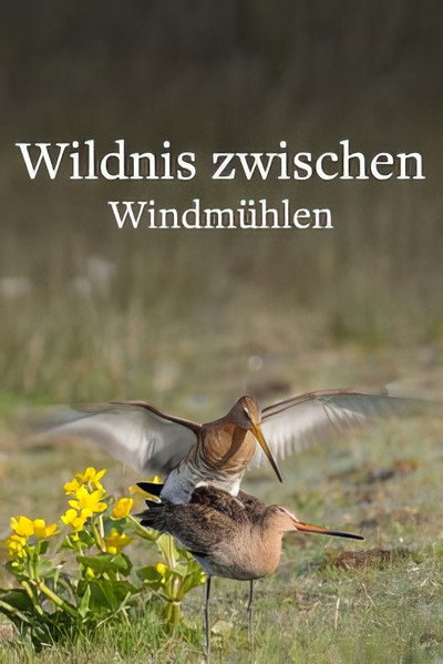 Póster de Wildlife in Windmill Country