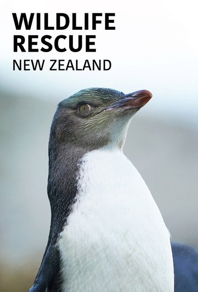 Póster de Wildlife Rescue