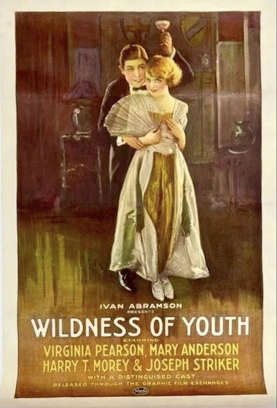 Póster de Wildness of Youth
