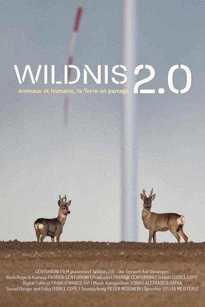 Póster de Wildnis 2.0 - Die Tierwelt auf Umwegen