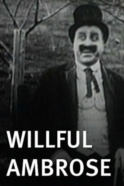 Póster de Willful Ambrose
