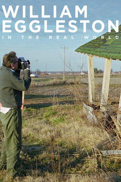 Póster de William Eggleston in the Real World