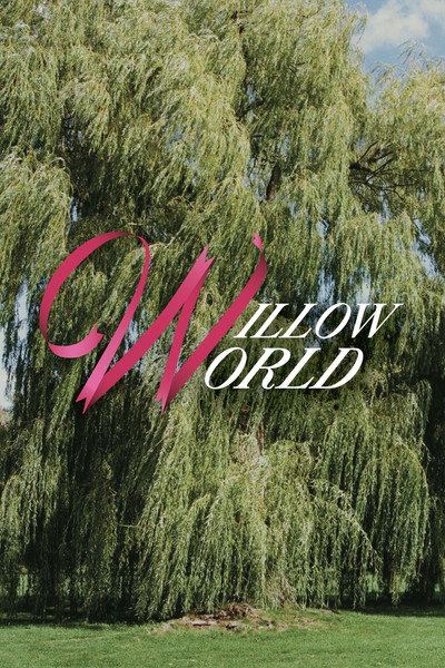 Póster de Willow World