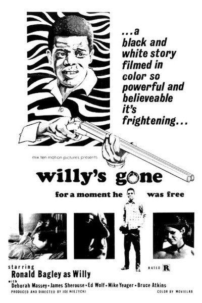 Póster de Willy's Gone
