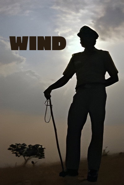 Póster de Wind