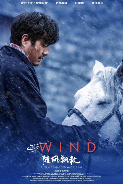 Póster de Wind