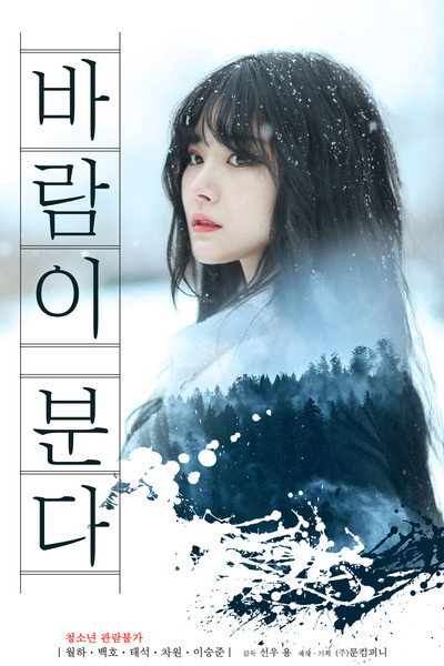 Póster de Wind Blows