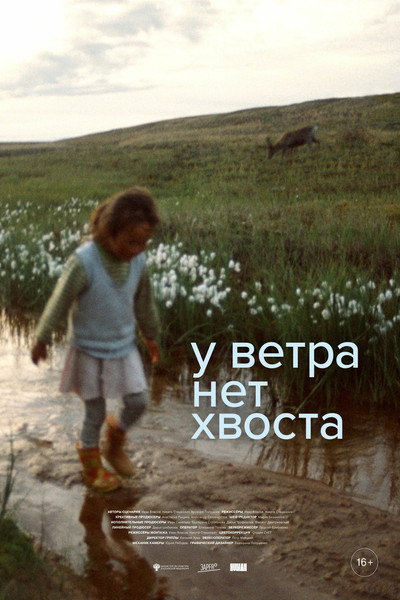 Póster de Wind Has No Tail