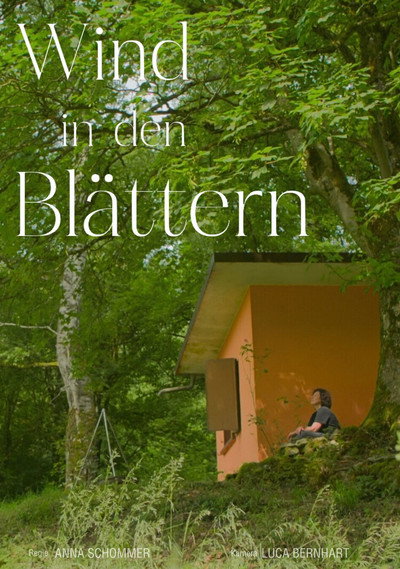 Póster de Wind in den Blättern