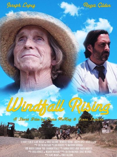 Póster de Windfall Rising
