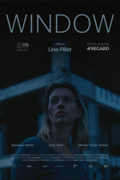 Póster de Window