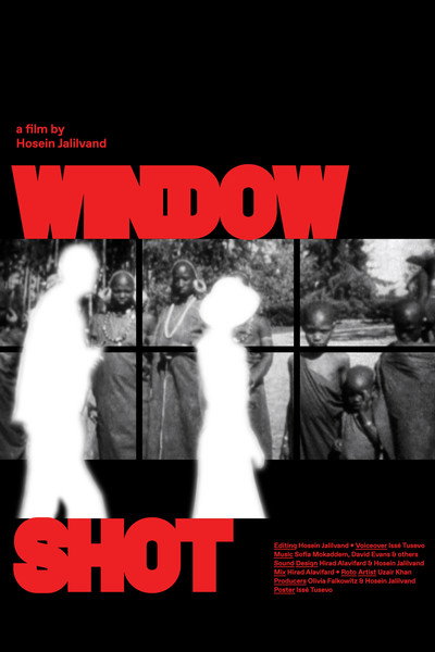 Póster de Window Shot