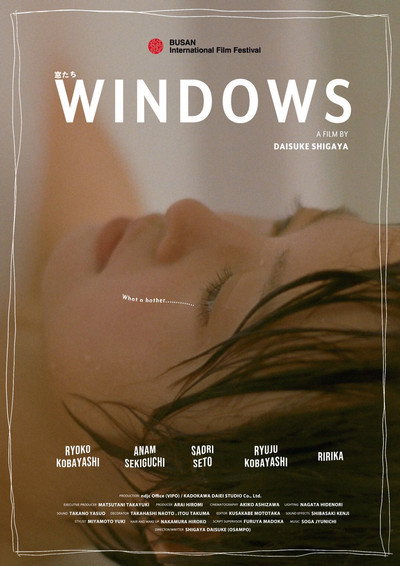 Póster de Windows