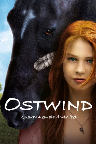 Póster de Windstorm