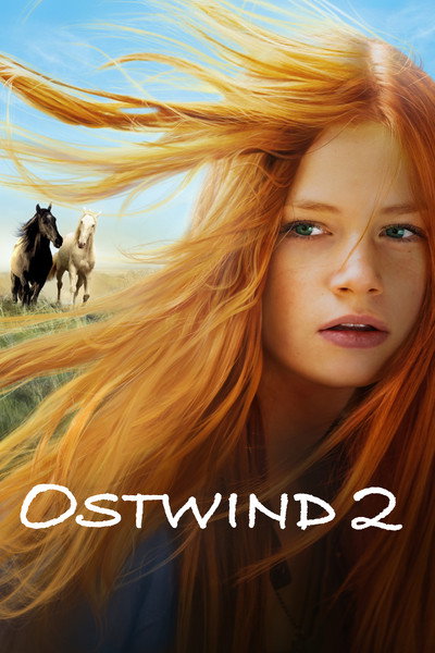 Póster de Windstorm 2