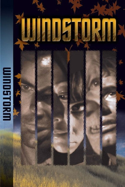 Póster de Windstorm