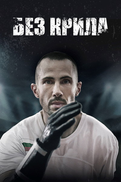Póster de Wingless